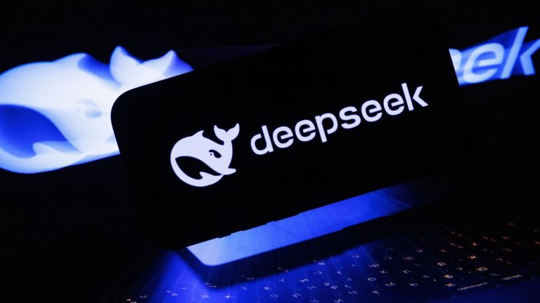 Customer Service with DeepSeek