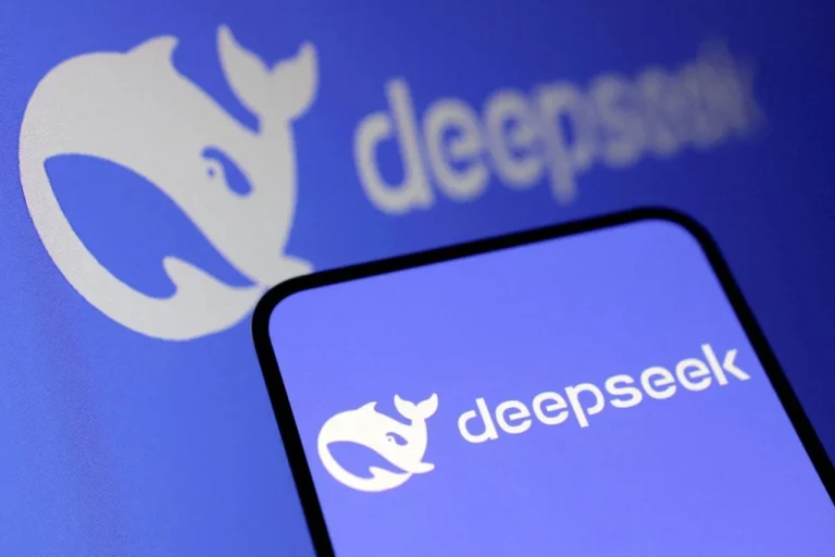 DeepSeek Open-Source Models